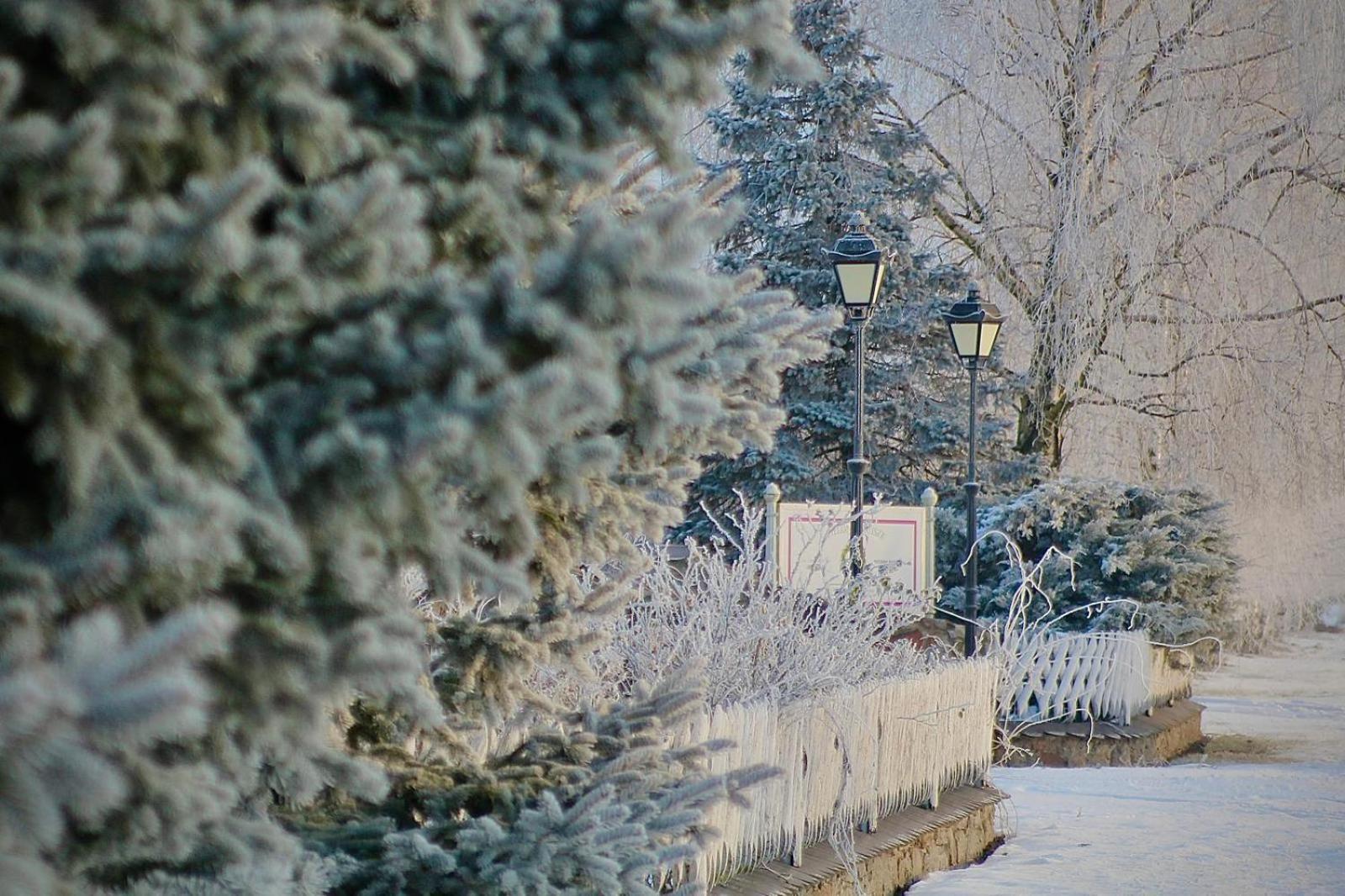 Zielone Zacisze Bed & Breakfast Murzynowo Kościelne Dış mekan fotoğraf