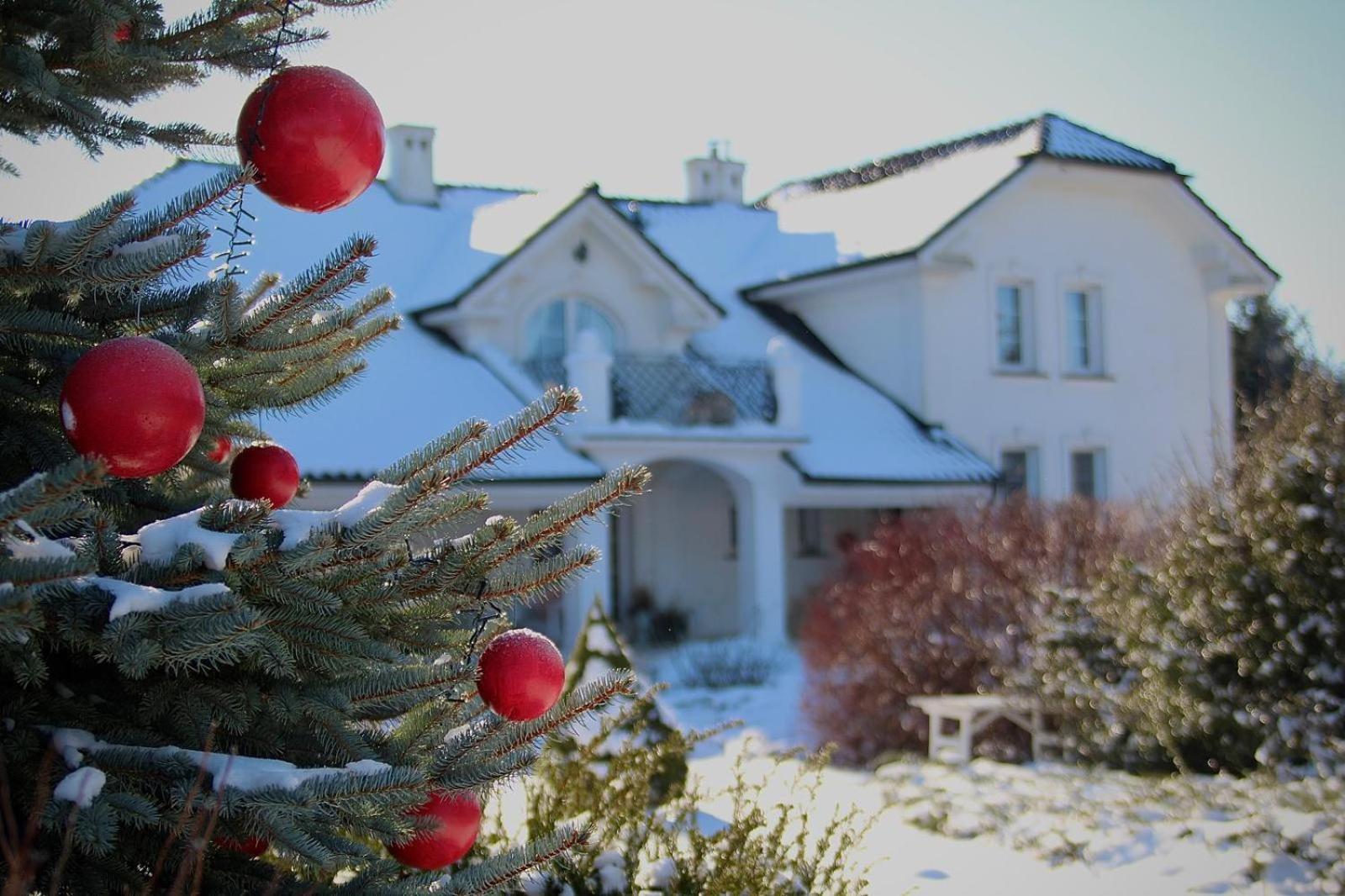Zielone Zacisze Bed & Breakfast Murzynowo Kościelne Dış mekan fotoğraf