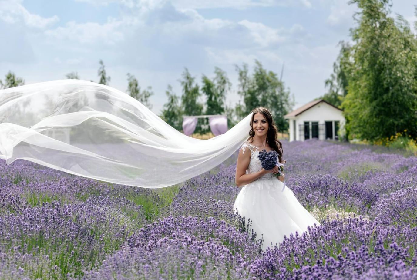 Zielone Zacisze Bed & Breakfast Murzynowo Kościelne Dış mekan fotoğraf